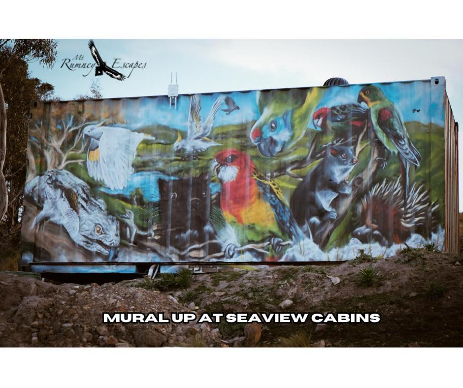 Mount Rumney Escapes - 3 Seaview Wombat House Экстерьер фото